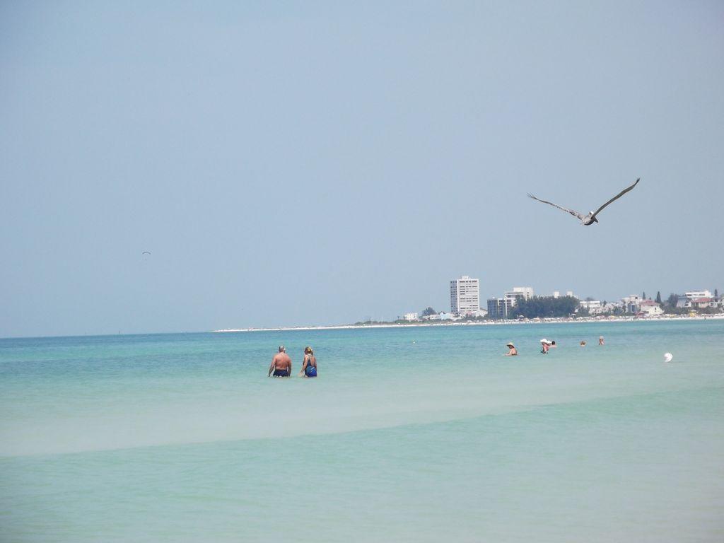 2Br/1Ba Vacation Rental - Sienna Park Sarasota Ngoại thất bức ảnh